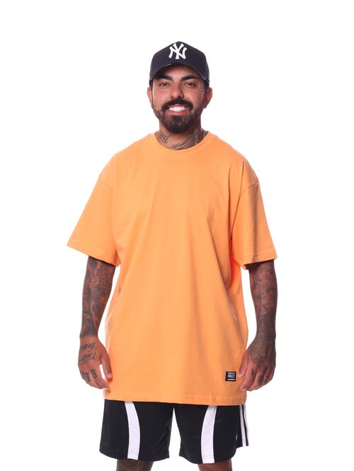 Camiseta T-Shirt Grizzly Blank SS Tee