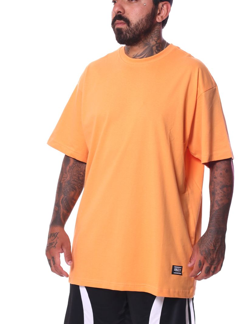 Camiseta-T-Shirt-Grizzly-Blank-SS-Tee-Apricot