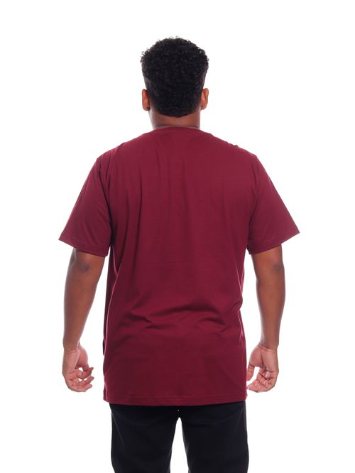 Camiseta Santa Cruz Flamed Collegiate SS